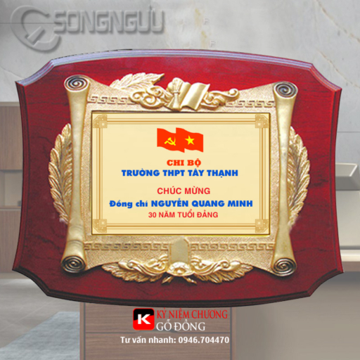 Alternative view of Biểu trưng tặng chiến sĩ hải quân