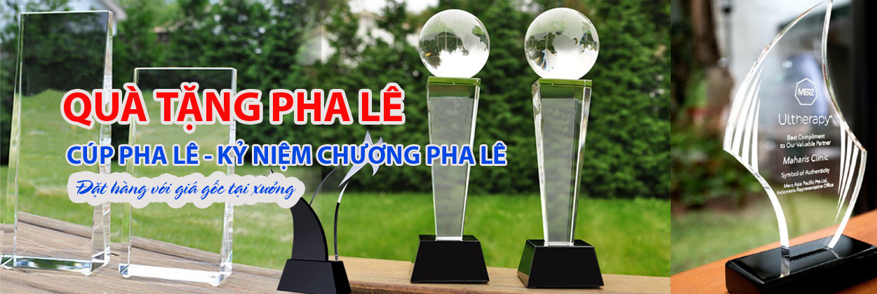 Cúp - Kỷ niệm chương