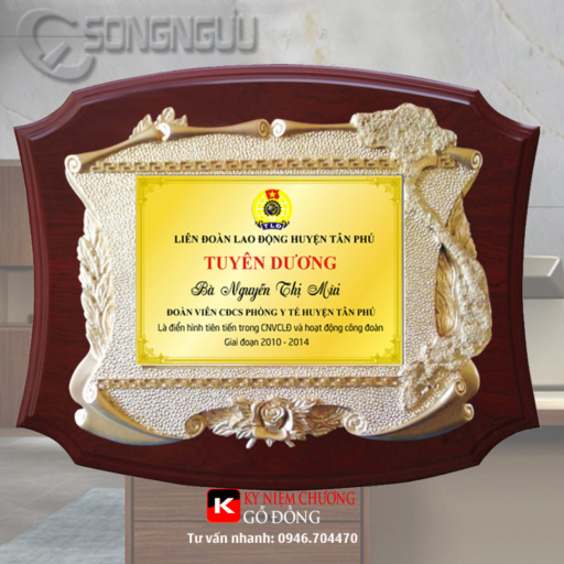 Alternative view of Kỷ niệm chương tuyên dương gỗ đồng