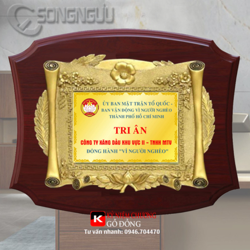 Alternative view of Kỷ niệm chương gỗ đồng 23cm x 30cm
