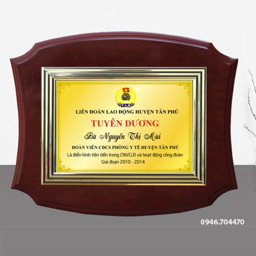 Biểu trưng tuyên dương gỗ đồng