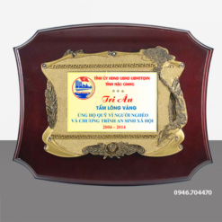 Biểu trưng tri ân gỗ đồng 23cm x 30cm