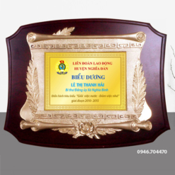 Kỷ niệm chương biểu dương gỗ đồng