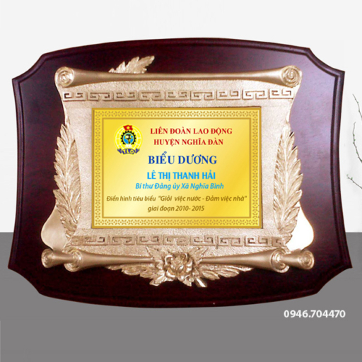 Kỷ niệm chương biểu dương gỗ đồng