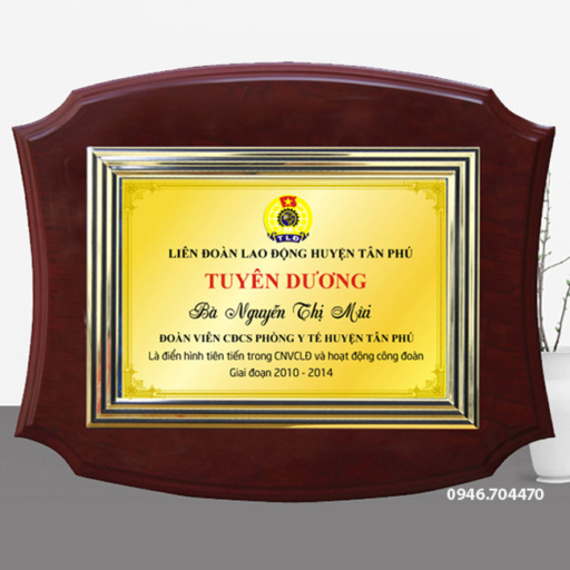 Kỷ niệm chương tuyên dương gỗ đồng