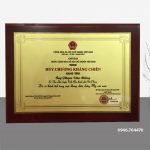 Mẫu Huân chương kháng chiến