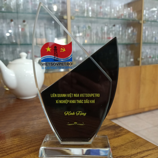 Alternative view of Kỷ niệm chương hai ngọn lửa