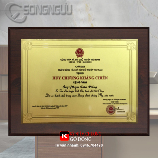 Alternative view of Mẫu huy chương kháng chiến cao cấp