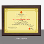 Mẫu huy chương kháng chiến cao cấp