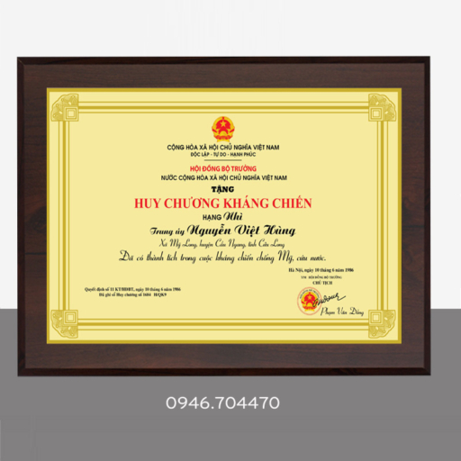 Mẫu huy chương kháng chiến cao cấp
