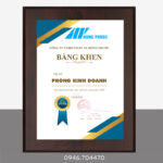 Bằng khen bạch kim cao cấp