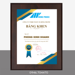 Bằng khen bạch kim cao cấp