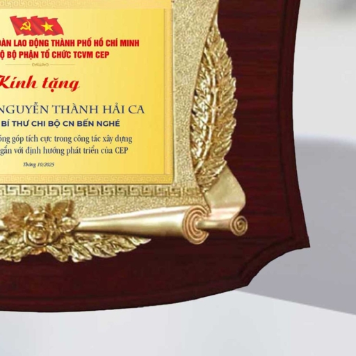 Alternative view of Kỷ niệm chương tặng cán bộ có nhiều cống hiến cho cơ quan tổ chức