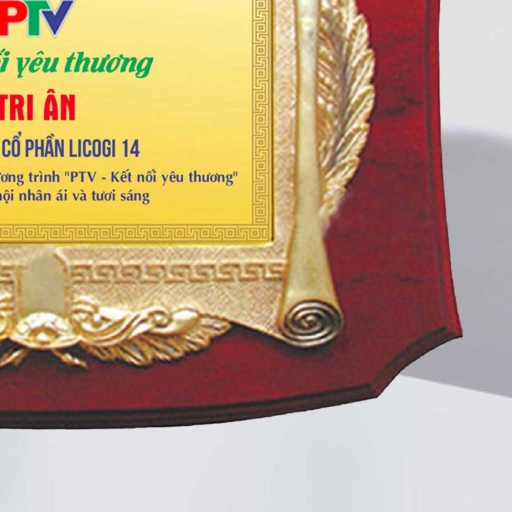Alternative view of Kỷ niệm chương tri ân doanh nghiệp đồng hành trong hoạt động xã hội