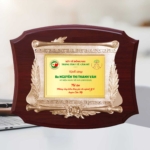 Kỷ niệm chương tri ân cho những đống góp cho ngành y tế