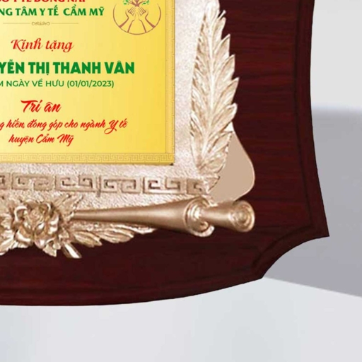 Alternative view of Kỷ niệm chương tri ân cho những đống góp cho ngành y tế
