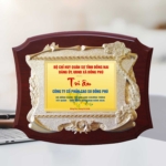 Kỷ niệm chương tri ân doanh nghiệp đồng hành những hoạt động chăm lo Tết