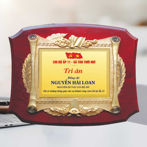 Kỷ niệm chương tri ân cán bộ cơ sở trong những hoạt động tại địa phương