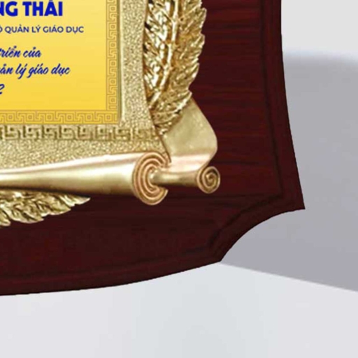 Alternative view of Kỷ niệm chương tri ân cán bộ công đoàn cơ sở trong những hoạt động xã hội