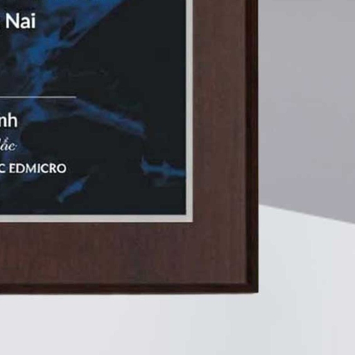 Alternative view of Bảng chứng nhận đối tác phân phối sản phẩm công nghệ phần mềm