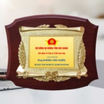 Kỷ niệm chương tri ân tấm lòng vàng trong những hoạt động xã hội