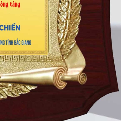 Alternative view of Kỷ niệm chương tri ân tấm lòng vàng trong những hoạt động xã hội