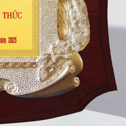 Alternative view of Kỷ niệm chương tri ân tấm lòng vàng cho những đóng góp cho hội đồng hương