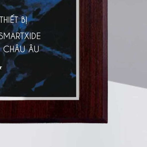 Alternative view of Bảng chứng nhận sở hữu công nghệ thiết bị máy móc dây chuyền chính hãng