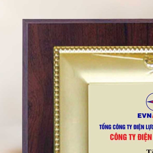 Alternative view of Bằng khen phòng ban tập thể đạt thành tích xuất sắc