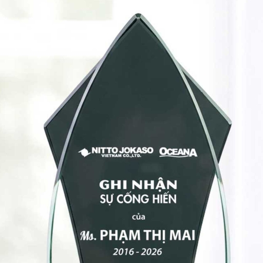 Alternative view of Kỷ niệm chương ghi nhận cống hiến 10 năm tặng nhân viên xuất sắc vì những cống hiến cho doanh nghiệp