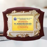 Kỷ niệm niệm chương gỗ tri ân những đóng góp cho hội đồng hương