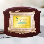 Kỷ niệm niệm chương gỗ cá nhân giỏi việc nước đảm việc nhà