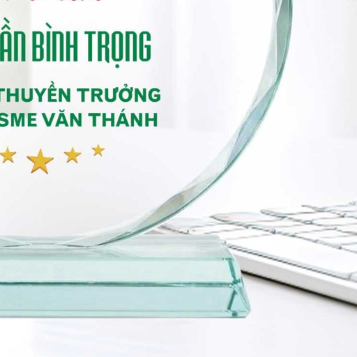 Alternative view of Kỷ niệm chương tròn tri ân lãnh đạo, thuyền trưởng của doanh nghiệp
