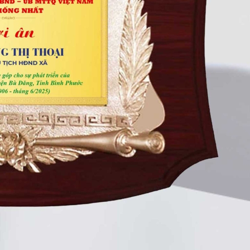 Alternative view of Kỷ niệm chương tri ân cống hiến cho những đóng góp tại địa phương